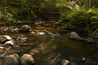 thumbs/DSC_0044.jpg