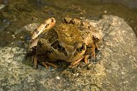 thumbs/DSC_0051.jpg