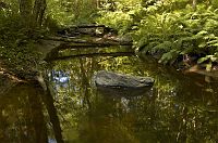 thumbs/DSC_0071.jpg