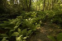 thumbs/DSC_0075.jpg