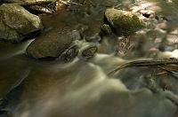 thumbs/DSC_0079.jpg