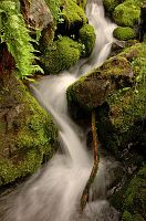 Naturbilder fr�n Idre