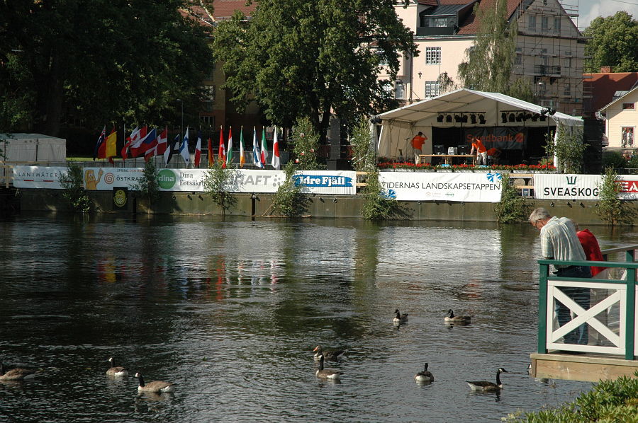Original image
