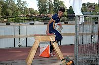 thumbs/DSC_0738.JPG