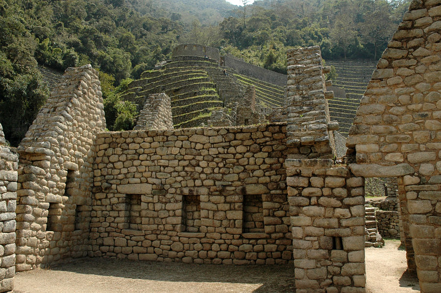 Original image