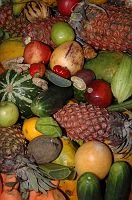 thumbs/DSC_2061.JPG
