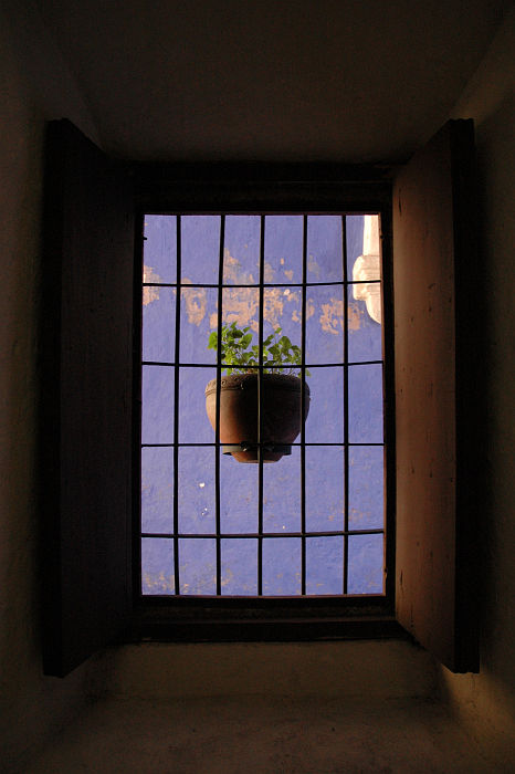 Original image