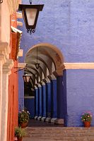 thumbs/DSC_3019.JPG