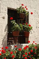 thumbs/DSC_3024.JPG