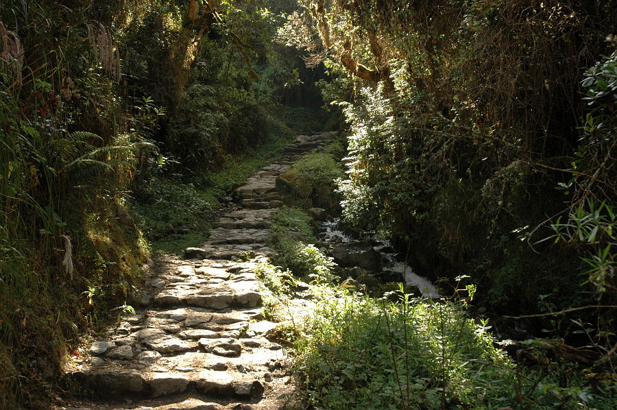 Original image
