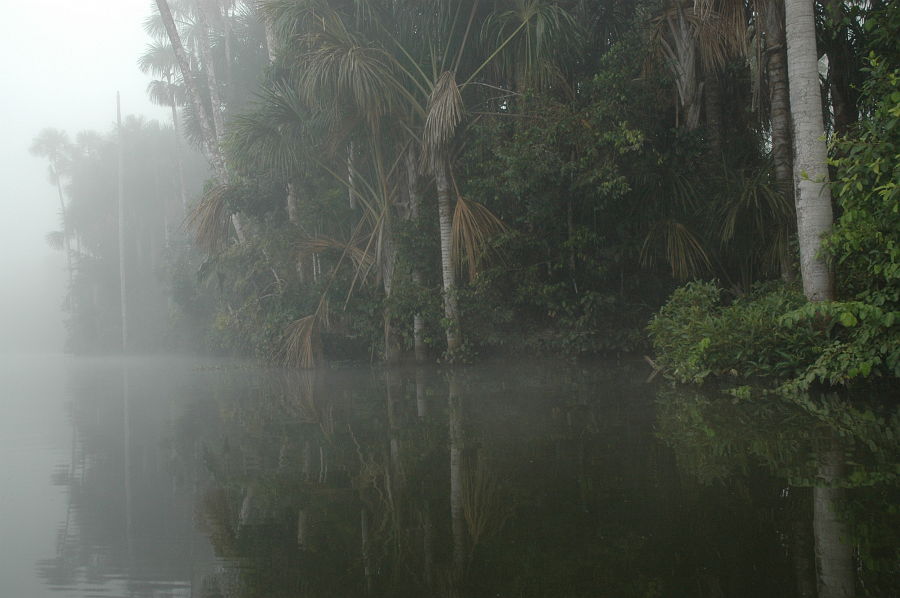 Original image