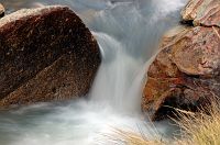 thumbs/DSC_0389.JPG