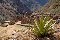 thumbs/DSC_0427.JPG