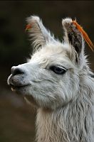 thumbs/DSC_0479.jpg