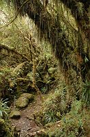 thumbs/DSC_0584.JPG
