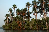 thumbs/DSC_0782.JPG
