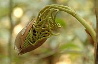 thumbs/DSC_0845.JPG