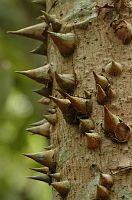 thumbs/DSC_0854.JPG