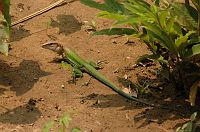 thumbs/DSC_0860.JPG