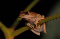 thumbs/DSC_0939.JPG
