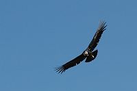 thumbs/DSC_2254.JPG