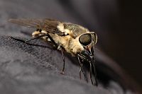 thumbs/DSC_2270.JPG