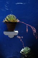 thumbs/DSC_3081.JPG