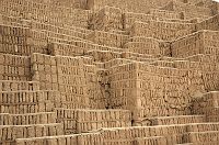 thumbs/DSC_3111.JPG