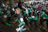 Skinkloppet och luciafirande i LOK-g�rden