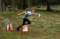 V�rspringet i Gummetorp