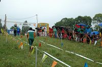 thumbs/DSC_0153.JPG