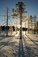 Sn�, sol och skidsp�r i Gr�nklitt