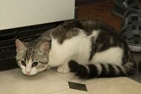 thumbs/DSC_8464.jpg