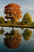 H�st l�ngs G�ta Kanal