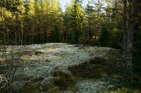 thumbs/DSC_2479.jpg