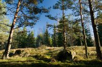 thumbs/DSC_2480.jpg