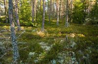 thumbs/DSC_2487.jpg