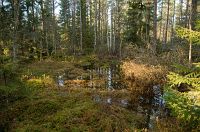 thumbs/DSC_2489.jpg
