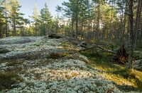 thumbs/DSC_2494.jpg