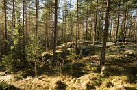 thumbs/DSC_2498.jpg