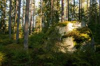 thumbs/DSC_2505.jpg