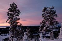 Soluppg�ng i Gr�nklitt