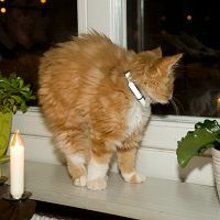 thumbs/DSC_3465.jpg
