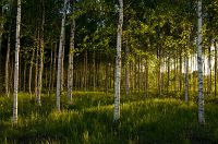 thumbs/DSC_5546.jpg