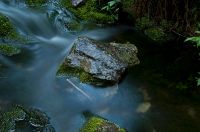 Naturbilder fr�n Idre