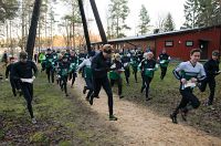 Skinkloppet och luciat�g