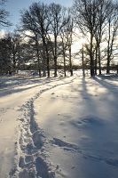 thumbs/DSC_5259.jpg