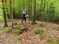 NM i radiopejlorientering (Tilaks bilder)