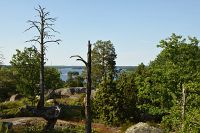 Hallstad ängar, Klevberget